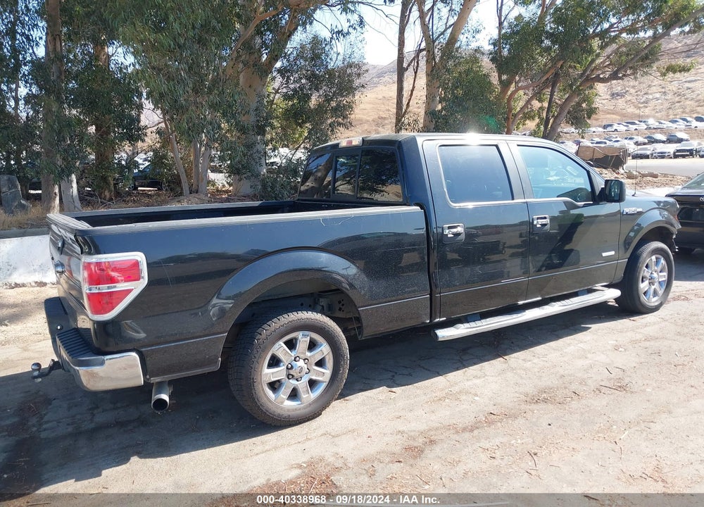 2013 FORD F-150 XLT VIN: 1FTFW1CT7DKG10783