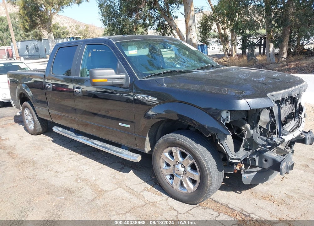 2013 FORD F-150 XLT VIN: 1FTFW1CT7DKG10783