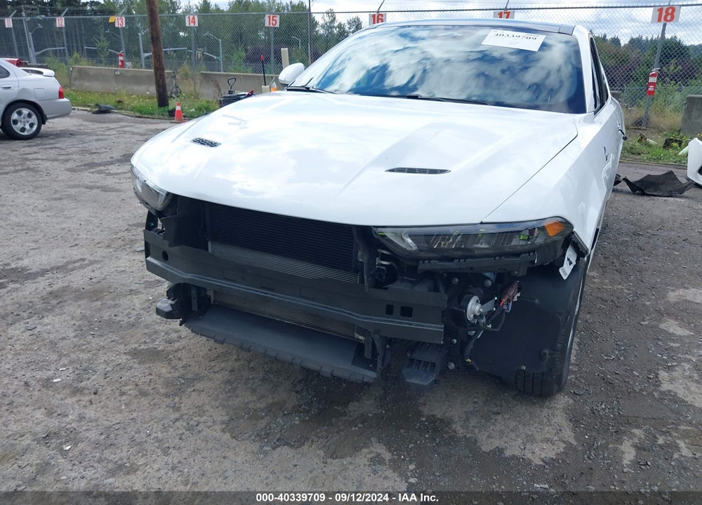 2023 DODGE HORNET GT PLUS AWD VIN: ZACNDFBN9P3A05084