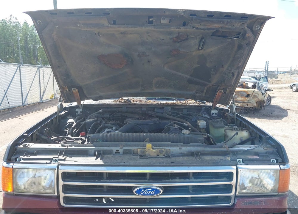 1991 FORD F250 VIN: 1FTHX25M5MKB08467