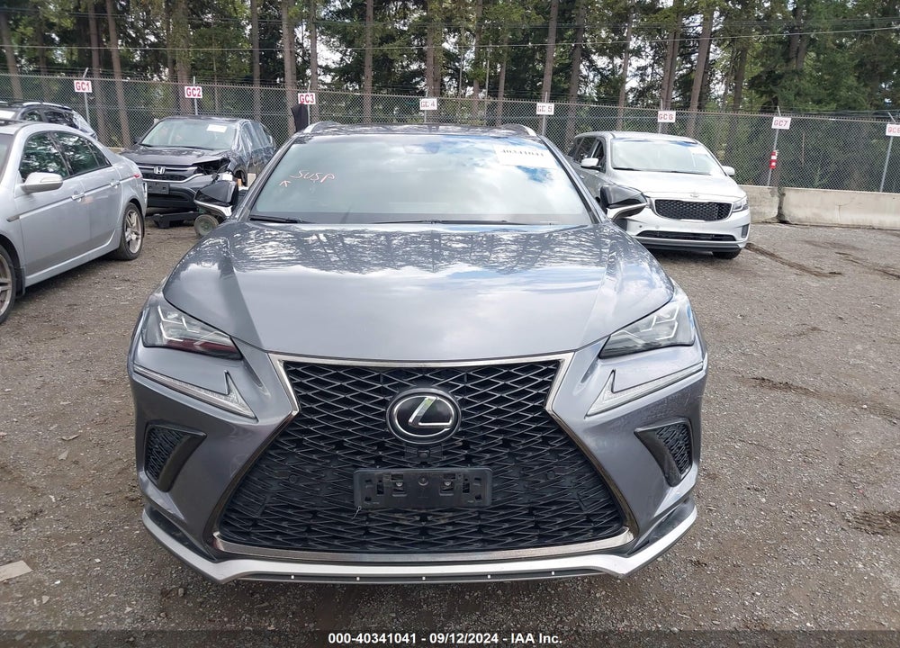2019 LEXUS NX 300 VIN: JTJYARBZ7K2128238