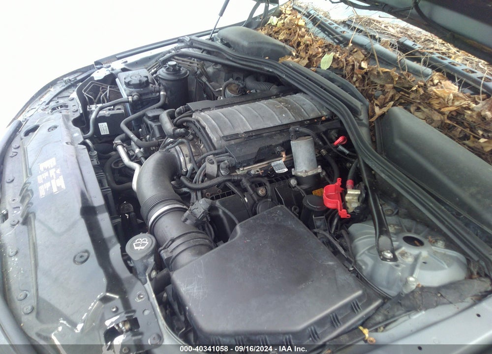 2005 BMW 545I VIN: WBANB33575CN67446