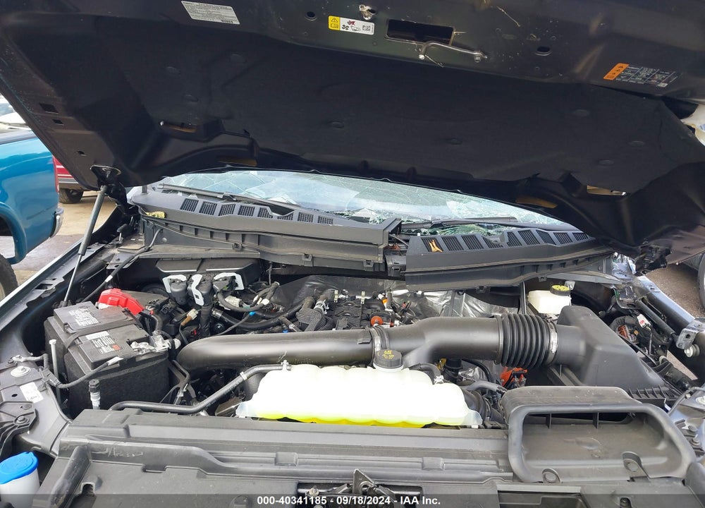 2024 FORD F-150 VIN: 1FTFW7L81RFA81345