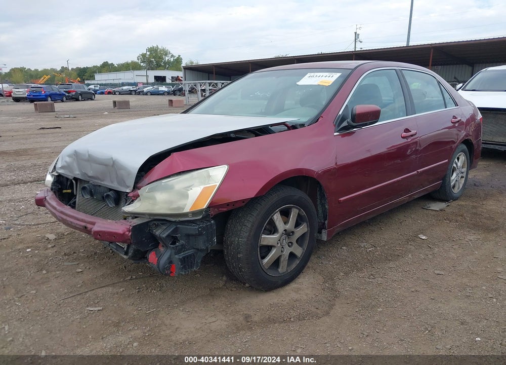 2005 HONDA ACCORD 3.0 EX VIN: 1HGCM66575A045236