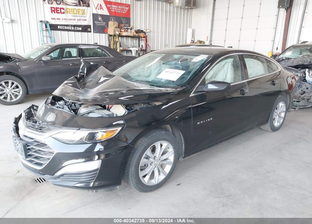 2019 CHEVROLET MALIBU LT VIN: 1G1ZD5ST1KF133116