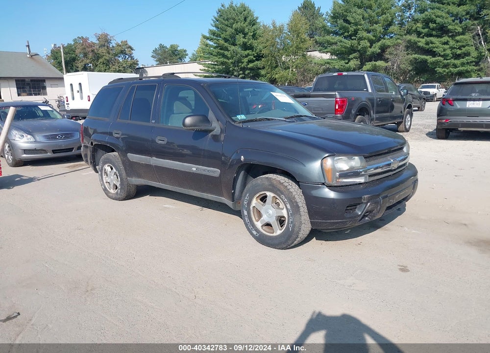 2004 CHEVROLET TRAILBLAZER LS VIN: 1GNDT13S142380740