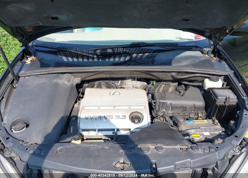 2005 LEXUS RX 330 VIN: 2T2HA31U85C055923