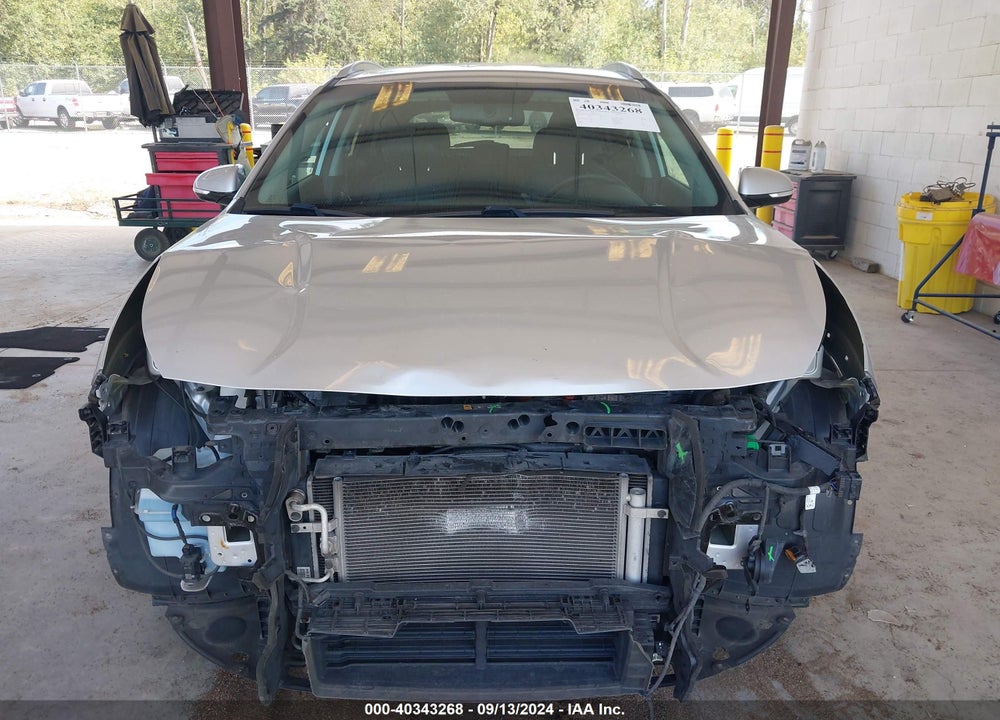 2019 KIA NIRO EX VIN: KNDCC3LCXK5222613