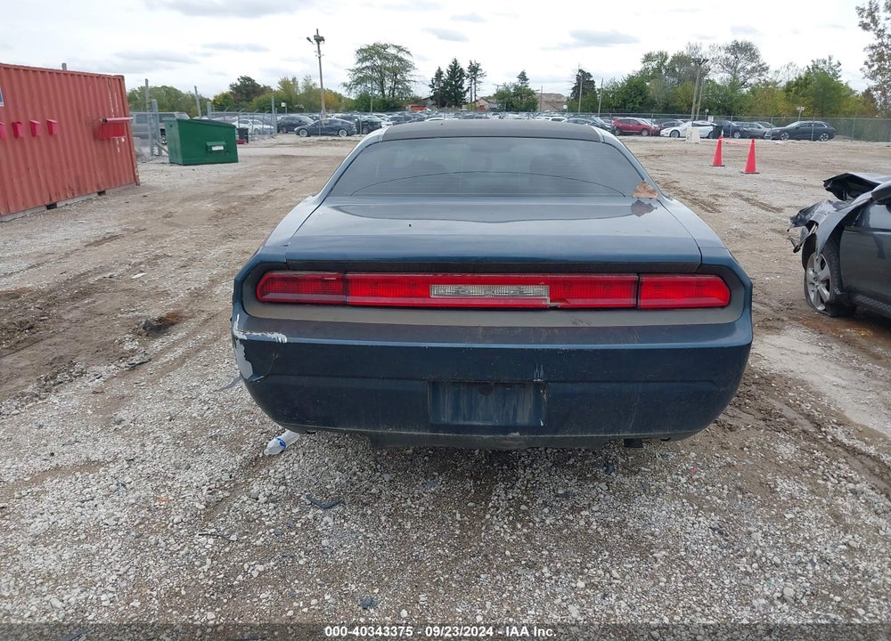 2010 DODGE CHALLENGER VIN: 2B3CJ4DV2AH219449