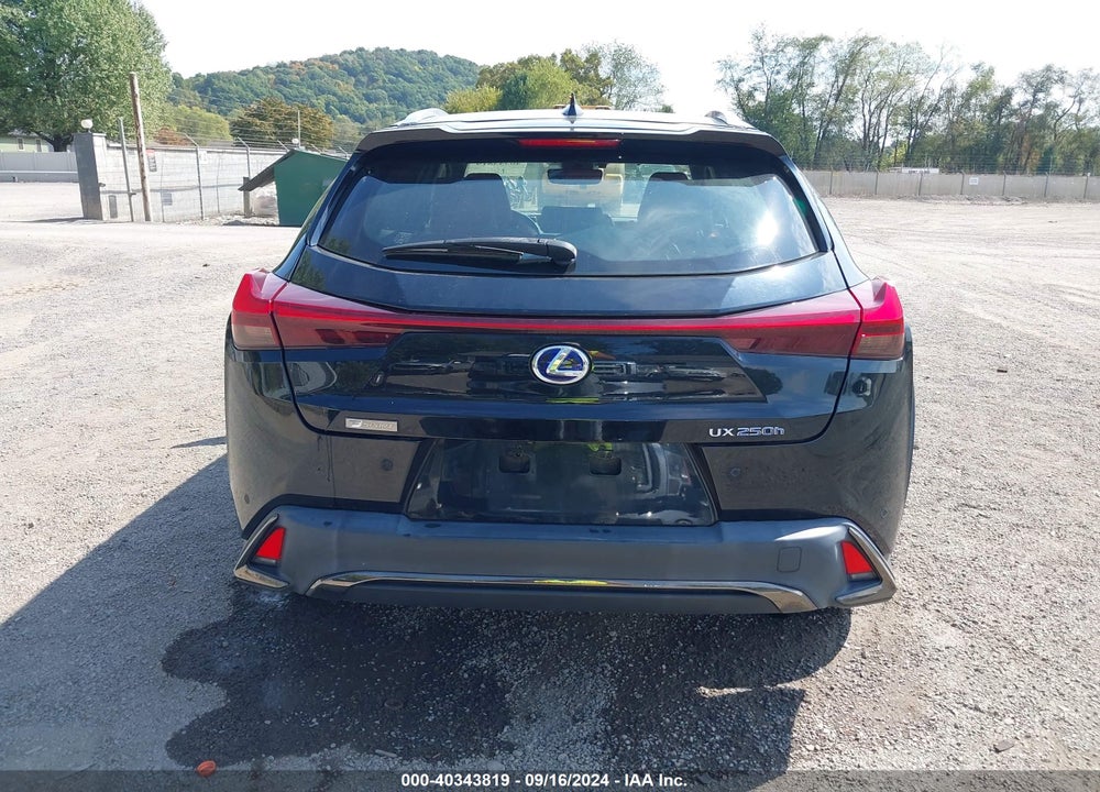2019 LEXUS UX 250H F SPORT VIN: JTHU9JBH0K2008198