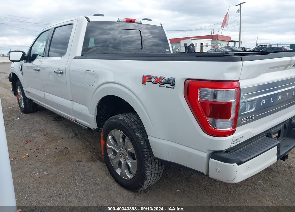 2023 FORD F-150 PLATINUM VIN: 1FTFW1EDXPFA04302