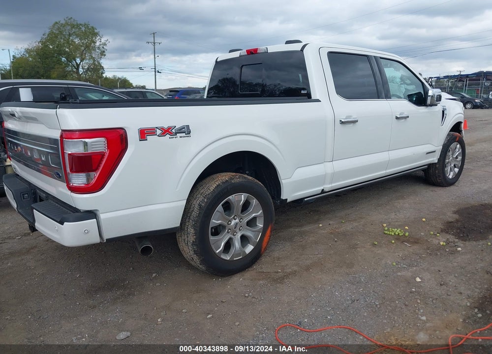 2023 FORD F-150 PLATINUM VIN: 1FTFW1EDXPFA04302
