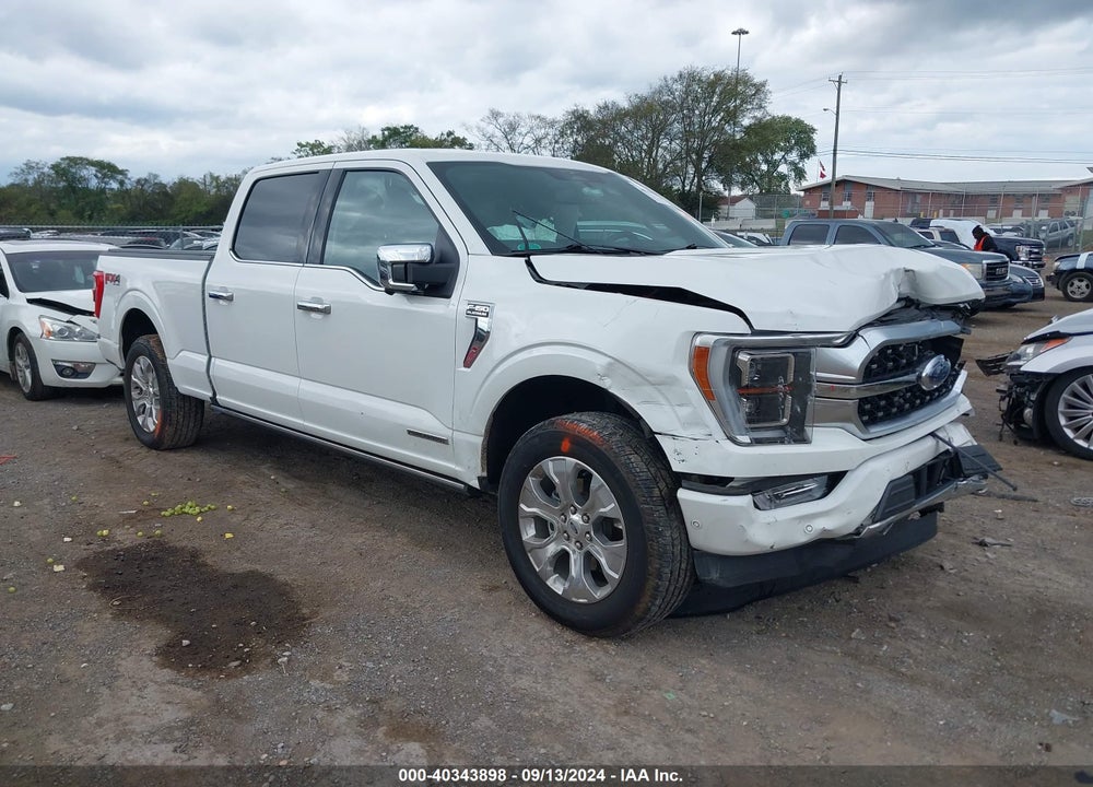 2023 FORD F-150 PLATINUM VIN: 1FTFW1EDXPFA04302