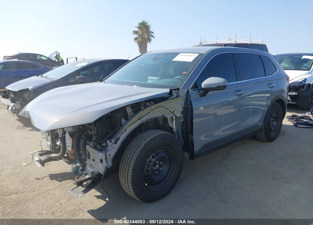 2024 HONDA CR-V LX 2WD VIN: 2HKRS3H22RH318081