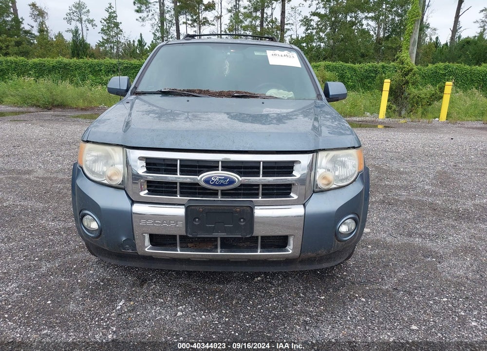 2010 FORD ESCAPE LIMITED VIN: 1FMCU9EG0AKC72870