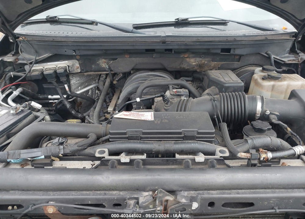 2009 FORD F-150 XL/XLT VIN: 1FTRW14849FA83566