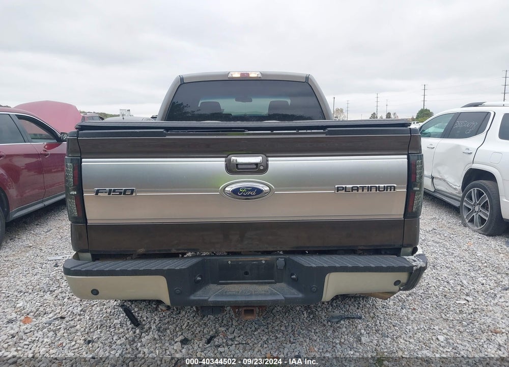 2009 FORD F-150 XL/XLT VIN: 1FTRW14849FA83566