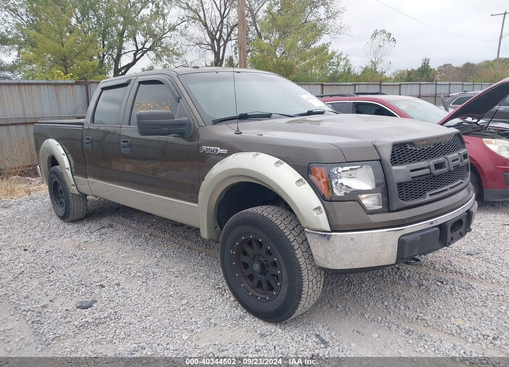 2009 FORD F-150 XL/XLT VIN: 1FTRW14849FA83566