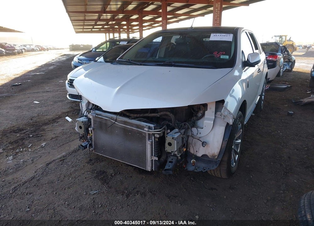 2014 LINCOLN MKX VIN: 2LMDJ6JK6EBL03386