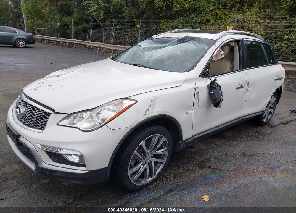 2017 INFINITI QX50 VIN: JN1BJ0RP2HM383971