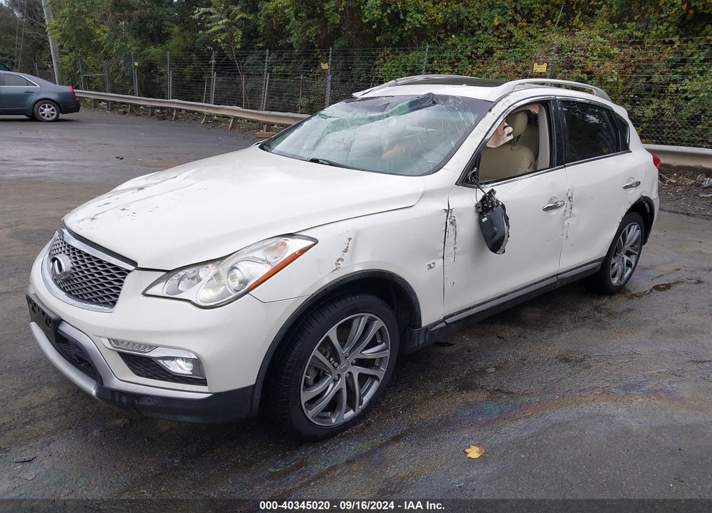 2017 INFINITI QX50 VIN: JN1BJ0RP2HM383971