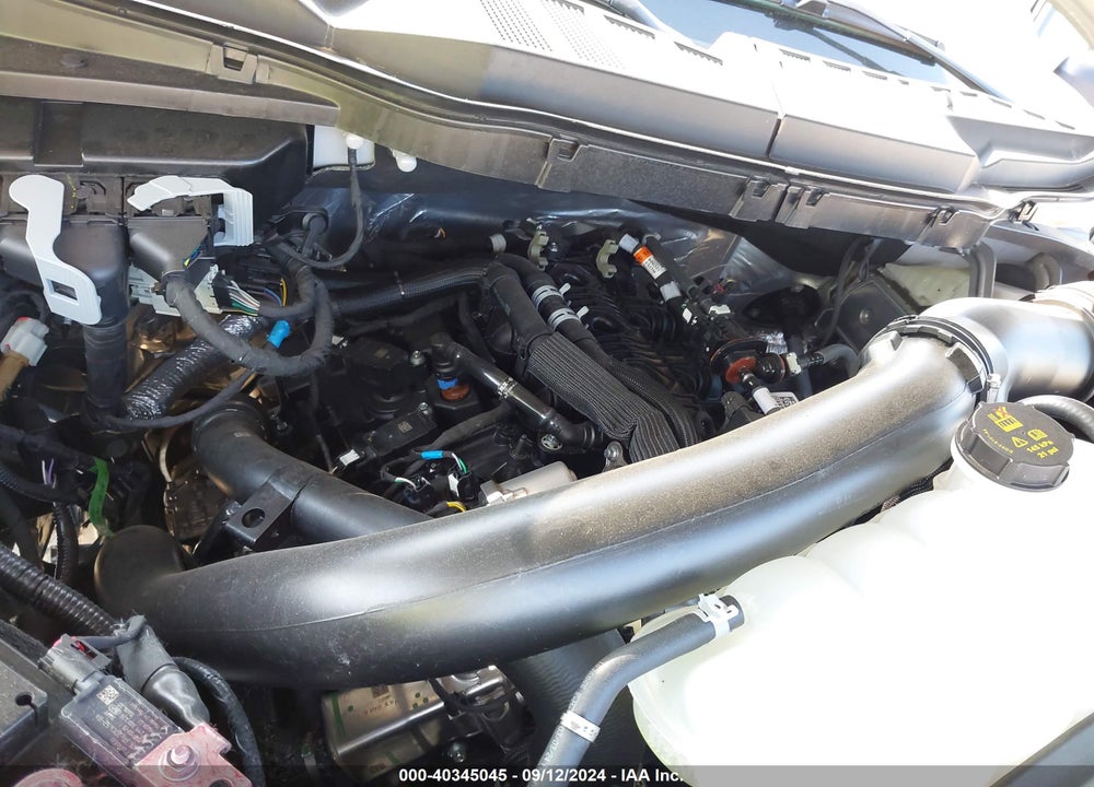 2024 FORD F-150 XLT VIN: 1FTFW3L88RKD81979