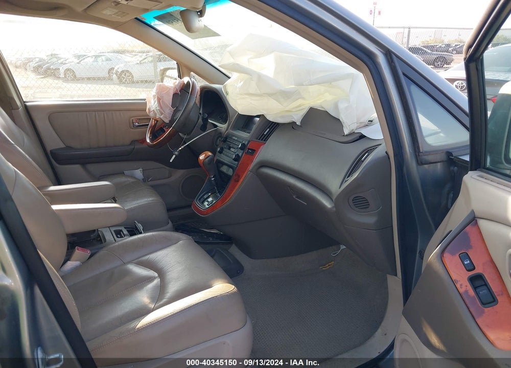 2002 LEXUS RX 300 VIN: JTJGF10U920146693