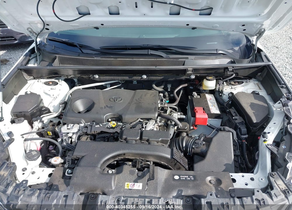 2019 TOYOTA RAV4 LIMITED VIN: JTMN1RFV0KD017175