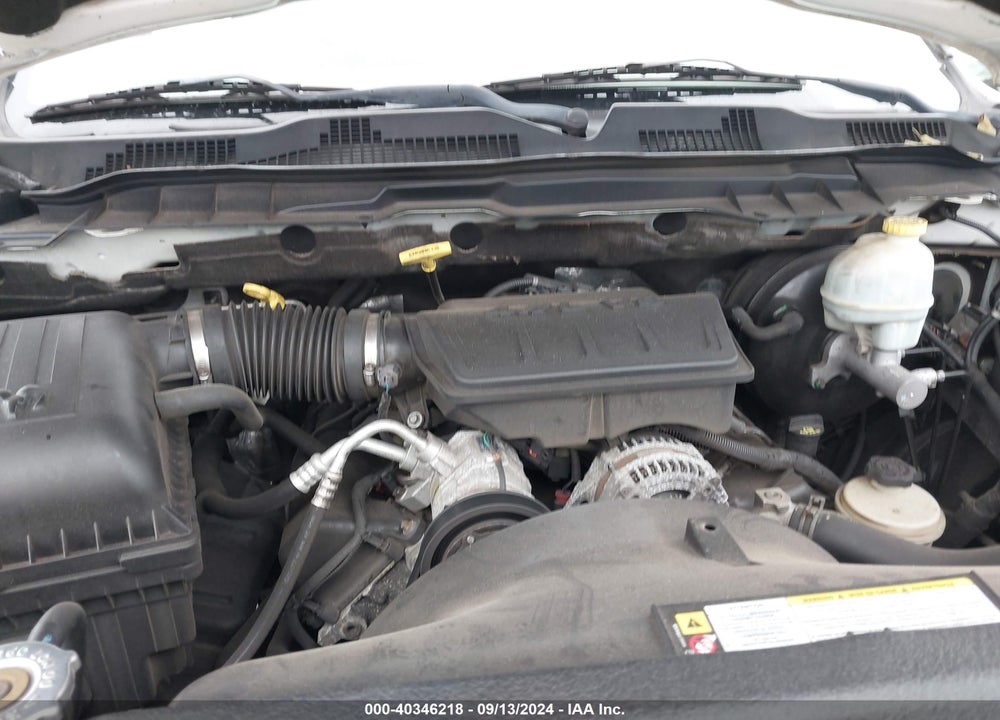 2009 DODGE RAM 1500 SLT/SPORT/TRX VIN: 1D3HB18P09S796195