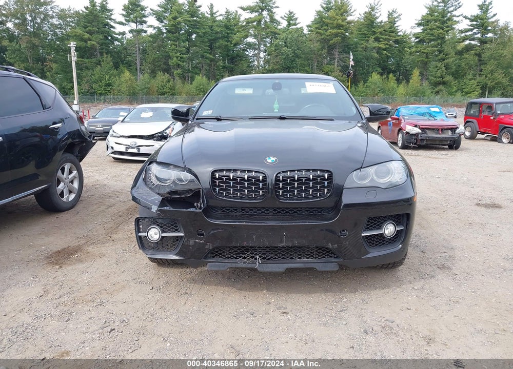 2011 BMW X6 XDRIVE35I VIN: 5UXFG2C53BLX07618