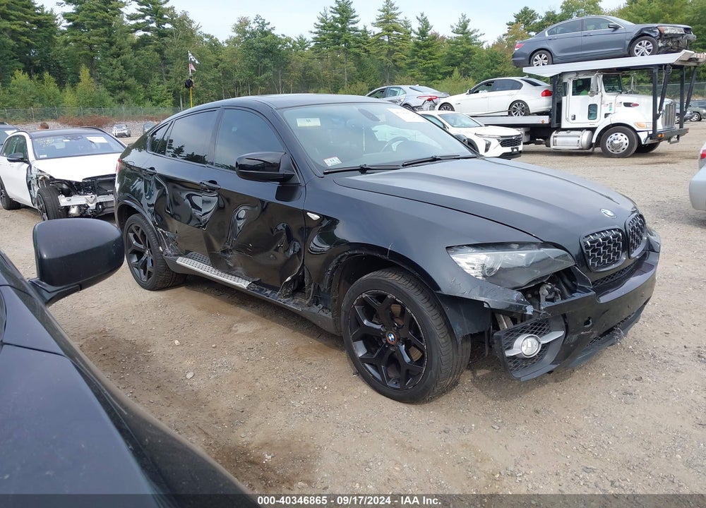 2011 BMW X6 XDRIVE35I VIN: 5UXFG2C53BLX07618