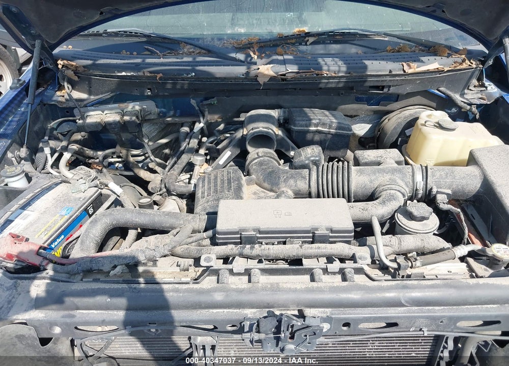 2010 FORD F-150 XL/XLT VIN: 1FTVX1CV6AKE21080