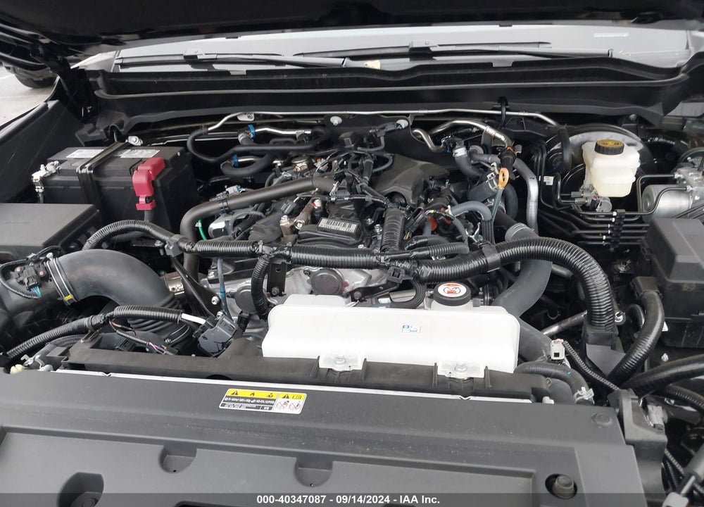 2024 TOYOTA TACOMA TRD OFF ROAD VIN: 3TMLB5JN2RM030514