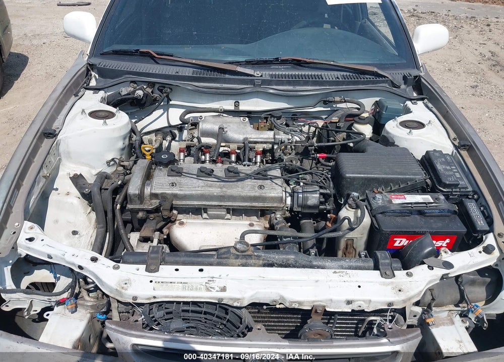 1996 TOYOTA COROLLA DX VIN: 1NXBB02EXTZ442045