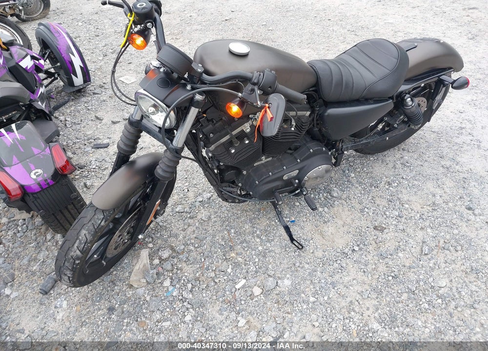 2021 HARLEY-DAVIDSON XL883 N VIN: 1HD4LE21XMB402130