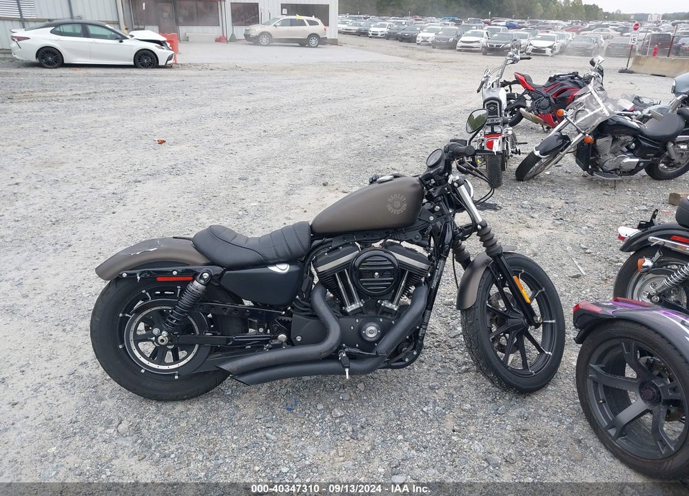 2021 HARLEY-DAVIDSON XL883 N VIN: 1HD4LE21XMB402130