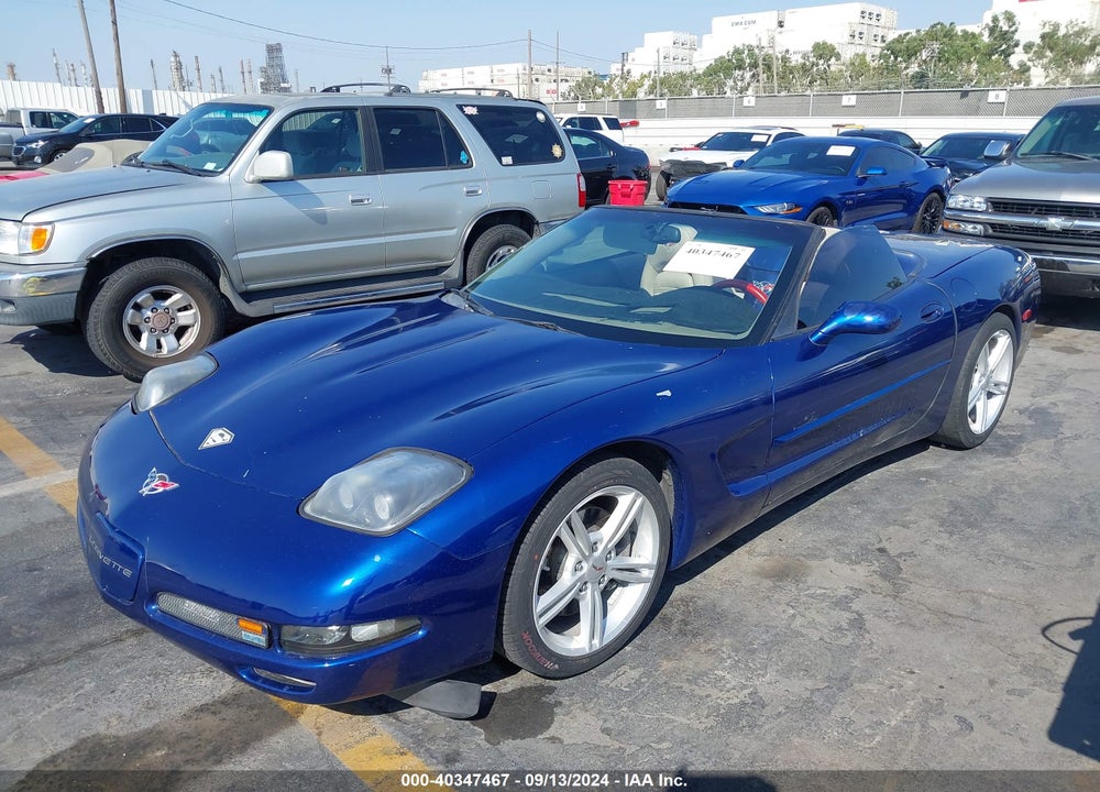 2004 CHEVROLET CORVETTE VIN: 1G1YY32G645128901