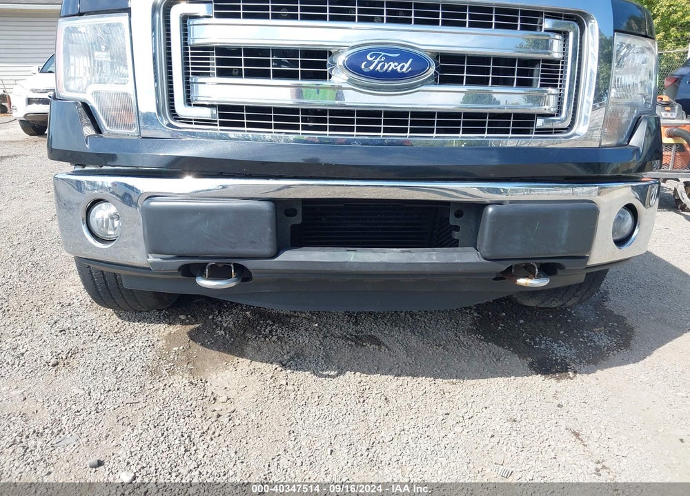 2013 FORD F-150 XLT VIN: 1FTFX1ET7DFB94902