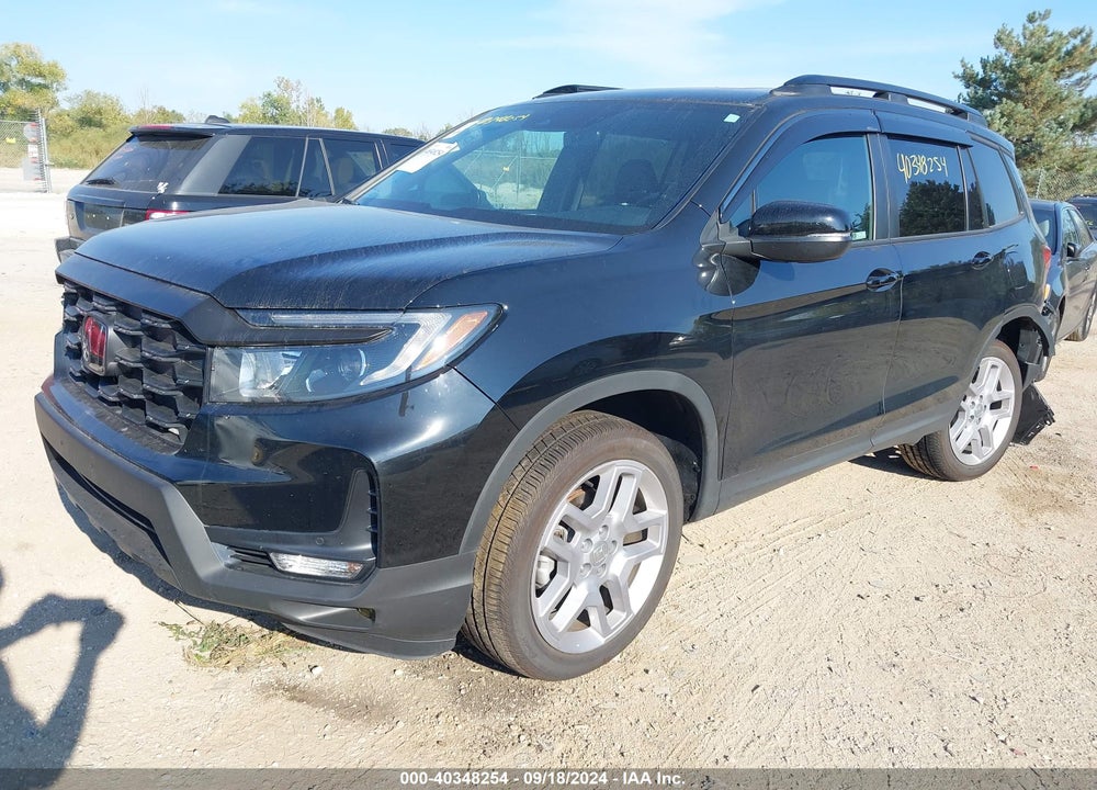 2024 HONDA PASSPORT AWD EX-L VIN: 5FNYF8H56RB007713