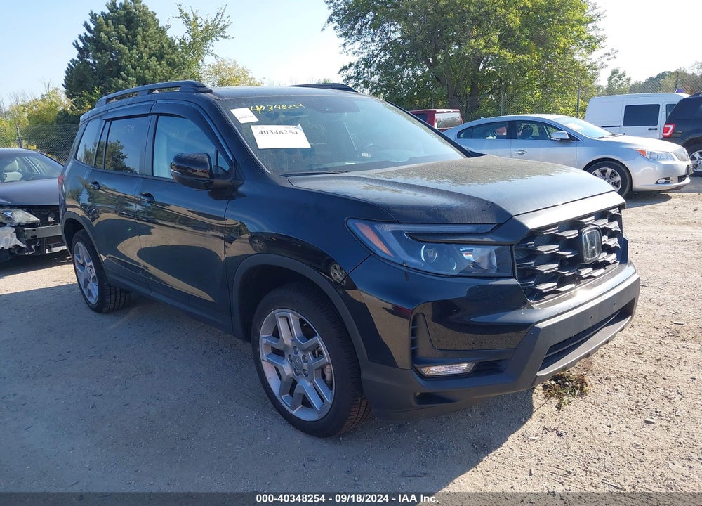 2024 HONDA PASSPORT AWD EX-L VIN: 5FNYF8H56RB007713