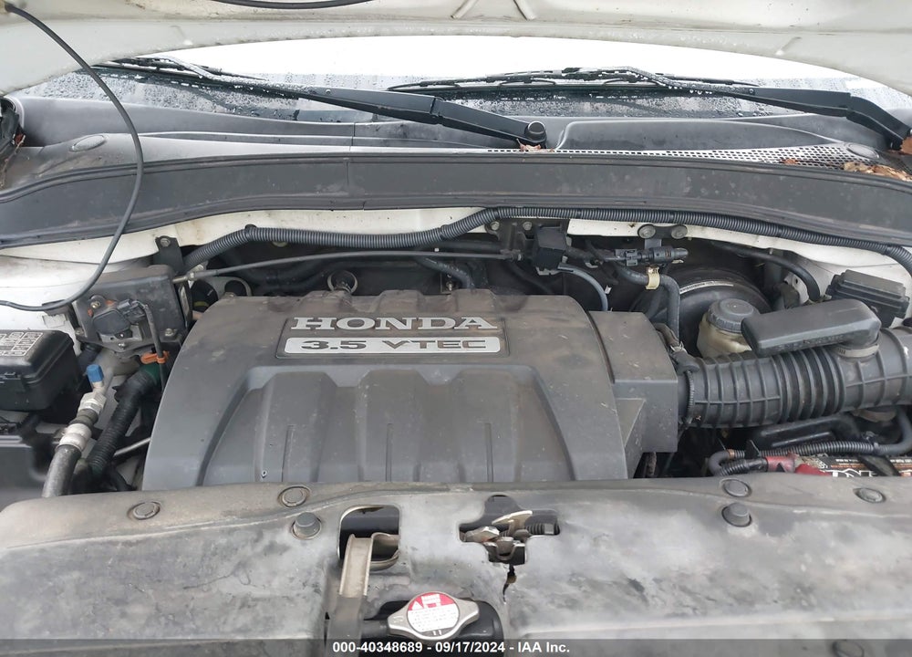 2006 HONDA PILOT EX-L VIN: 5FNYF18546B027705