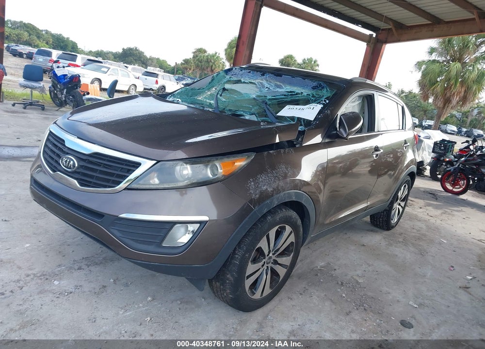 2011 KIA SPORTAGE VIN: KNDPC3A23B7031650