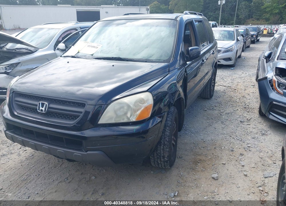2005 HONDA PILOT EX-L VIN: 5FNYF18555B055513