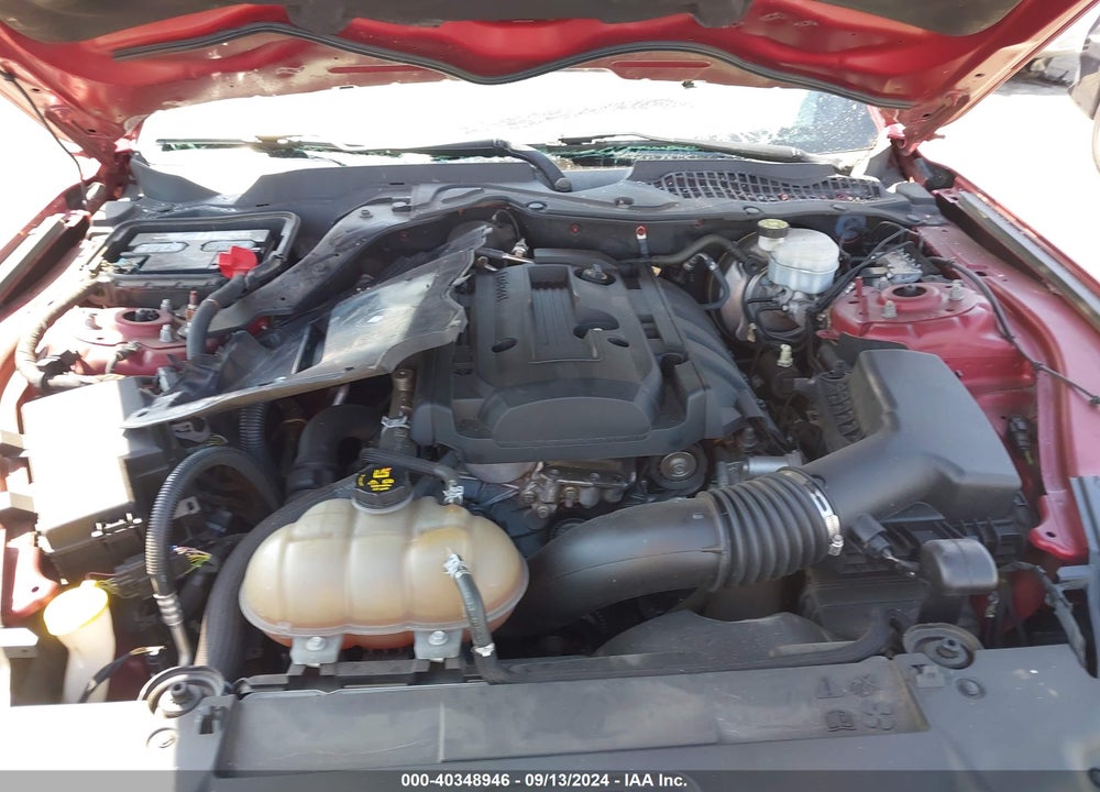 2019 FORD MUSTANG ECOBOOST PREMIUM VIN: 1FA6P8TH1K5130760