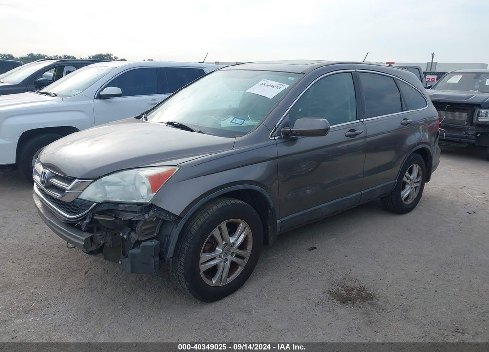 2010 HONDA CR-V EX-L VIN: 5J6RE3H77AL019229