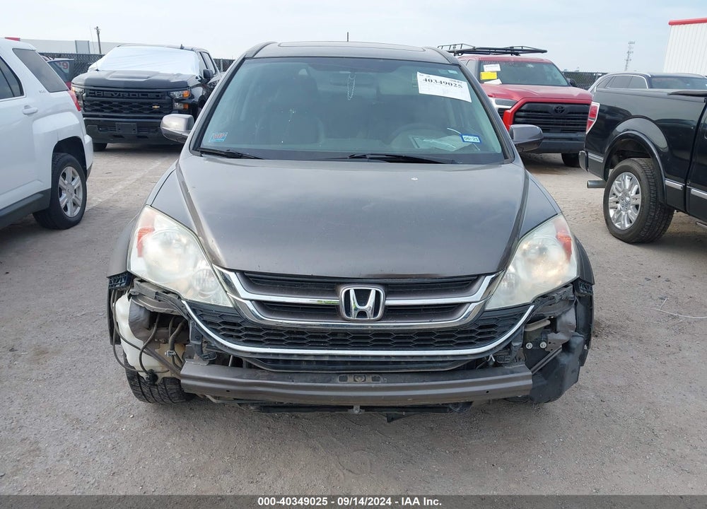 2010 HONDA CR-V EX-L VIN: 5J6RE3H77AL019229