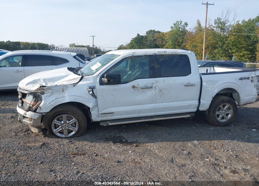 2024 FORD F-150 XLT VIN: 1FTFW3LD9RFA42170