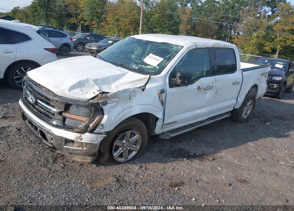 2024 FORD F-150 XLT VIN: 1FTFW3LD9RFA42170