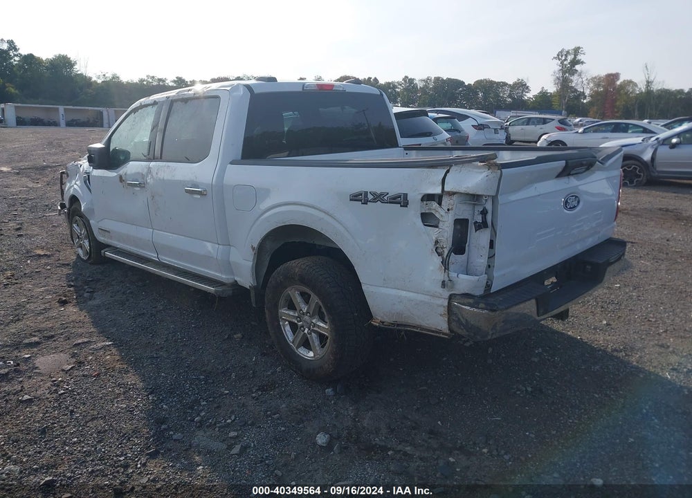 2024 FORD F-150 XLT VIN: 1FTFW3LD9RFA42170