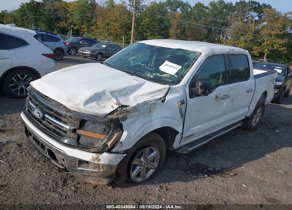 2024 FORD F-150 XLT VIN: 1FTFW3LD9RFA42170